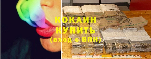 спиды Щигры