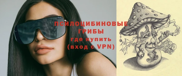 дурь Майский