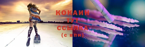 винт Абаза