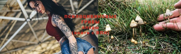 мяу мяу кристалл Магадан